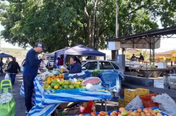 Foto - FEIRA LIVRE 