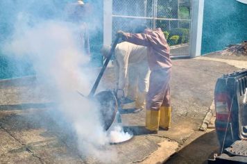 Foto - DEDETIZAÇÃO NA ZONA URBANA