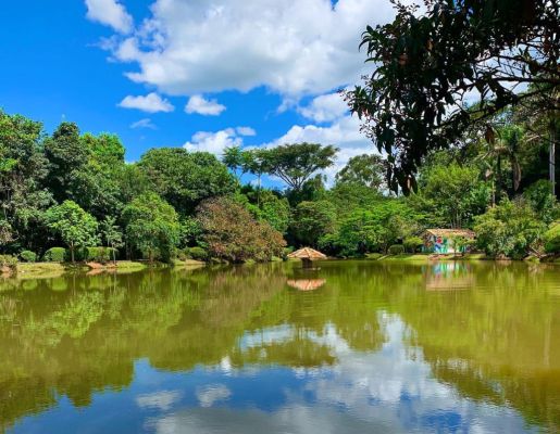 Foto - Fotos da Cidade 