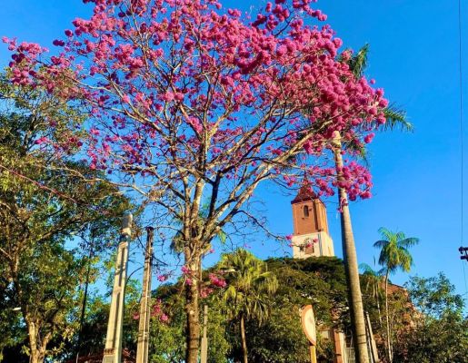 Foto - Fotos da Cidade 