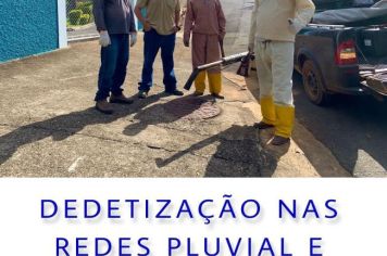 Foto - DEDETIZAÇÃO NA ZONA URBANA