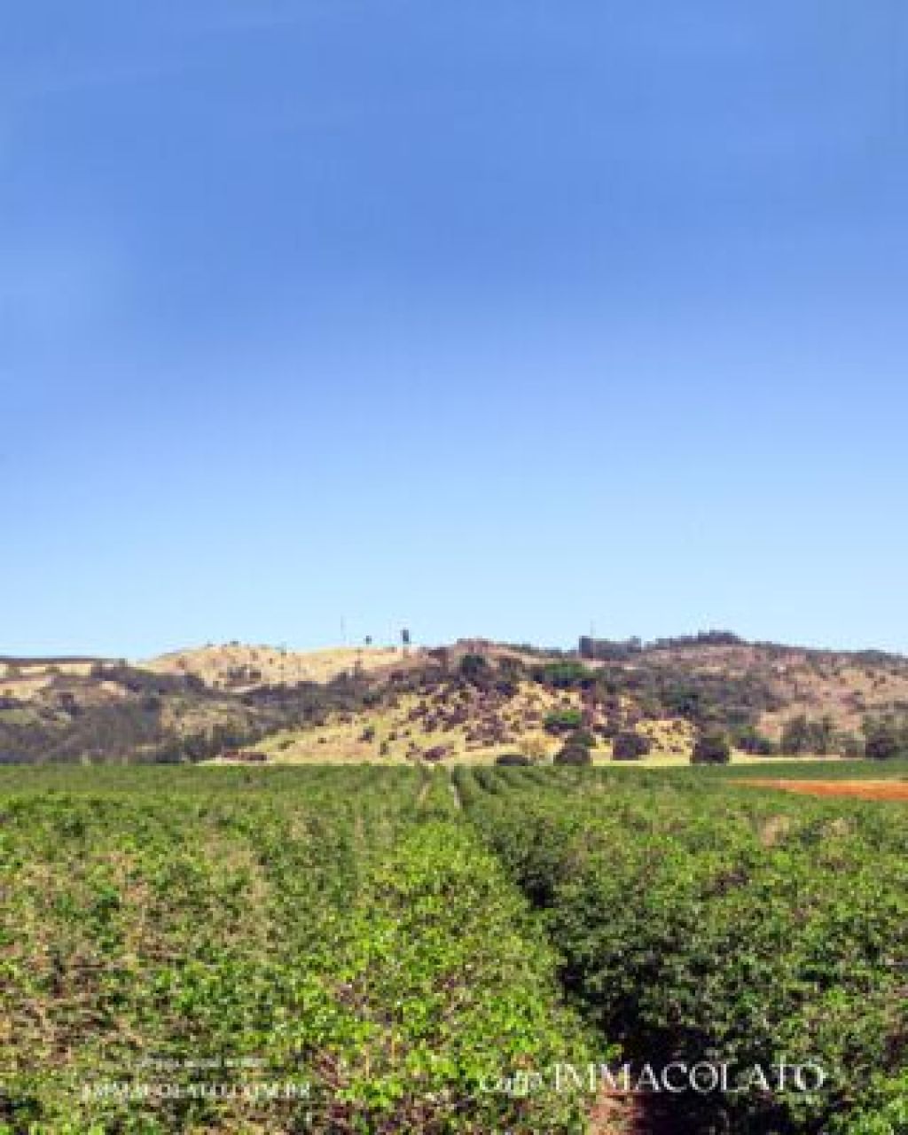 Hills