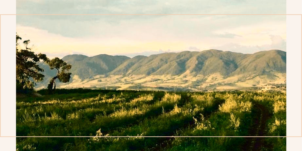 Hills