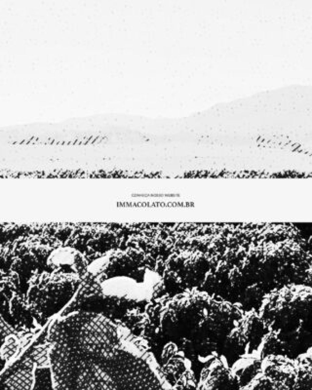 Hills