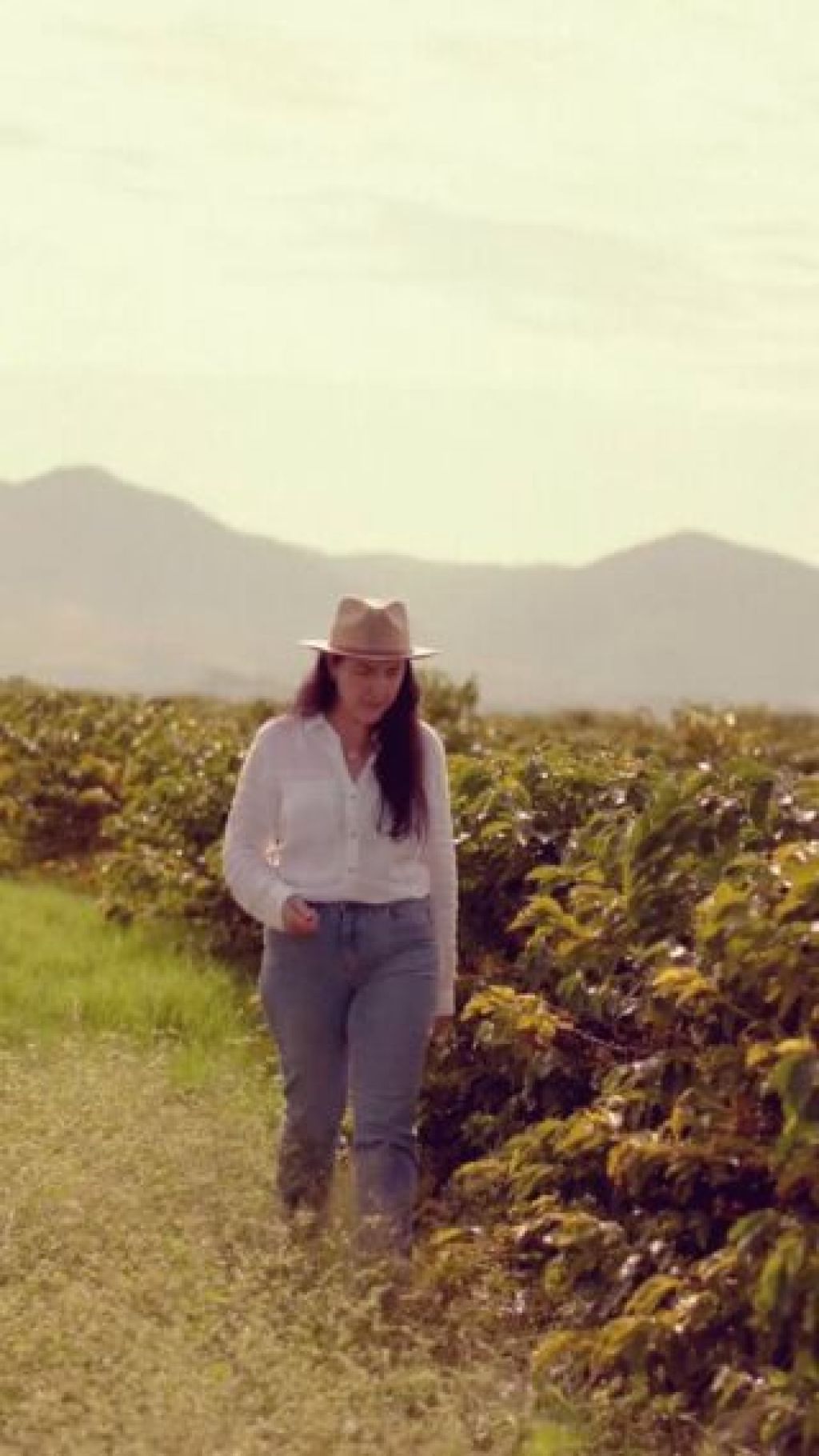 Hills