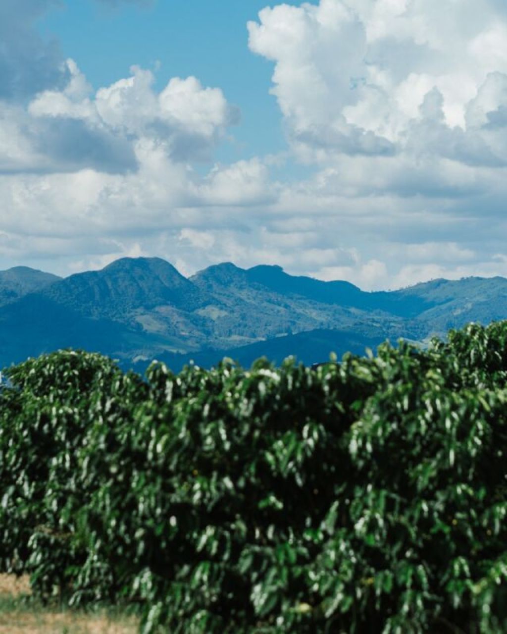 Hills