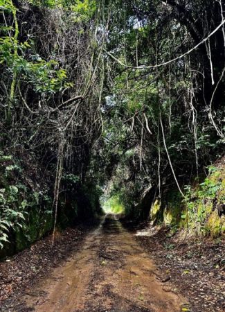 Estrada De Ferro 