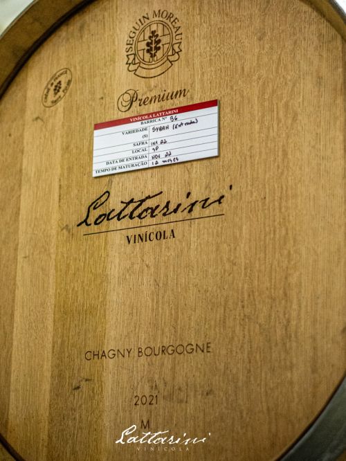 Vinícola Lattarini